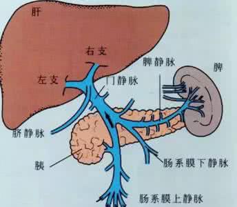 易善复 行为最伤肝 九种行为伤肝