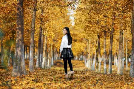 关于友情的文章摘抄 经典文章摘抄:秋意中的情愁