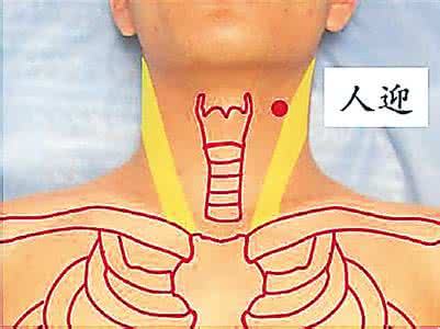 高血压中风 人迎穴：行气活血防治高血压和中风