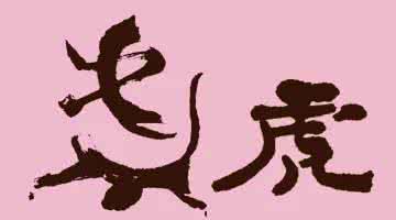 十二生肖一生运势 十二生肖取这名字一生兴旺