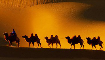 第二次世界大战的德国 德国第二次世界大战前的垄断组织