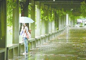 梅雨季节如何除湿 梅雨季节除湿教你16招
