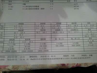 人绒毛膜促性腺激素 绒毛膜促性腺激素 性腺激素的受精后的变化