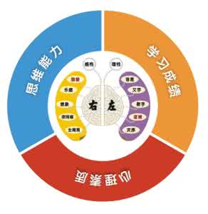 思维导图电脑版 第十二章 思维导图作用之八 开发全脑