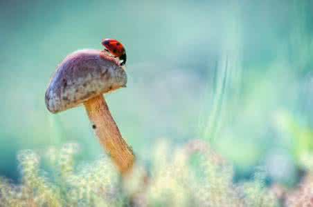 触碰心灵的话 温柔的触碰:心灵启迪集锦总目录