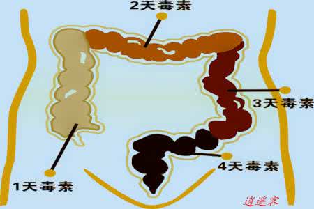 清肠的食物 六大清肠食物不可缺