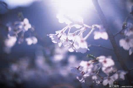 日系风格照片拍摄技巧 如何拍摄日系风格照片