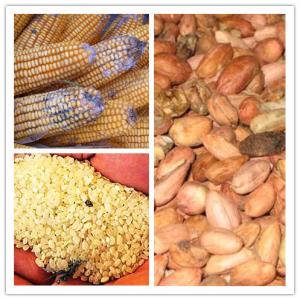 食品三大致癌物 这些常吃食品是致癌物