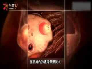 精子过敏可以生孩子吗 精液过敏 对精子过敏能生孩子吗?(图)