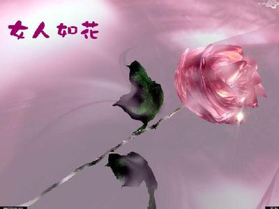 女人如花电视剧 女人如花
