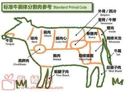 牛肉烹饪方法大全 解析牛肉各部位特征及适宜烹饪的方法