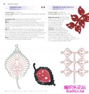 钩针钩花朵叶子视频 钩针花朵叶子图片图解