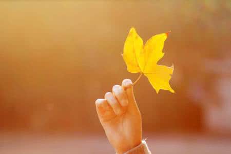 终极系列之落寞的季节 落寞的季节淡然的心情【情感美文】