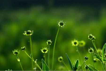 活着 自然环境描写 【活着，让一切来的安然，去的自然】