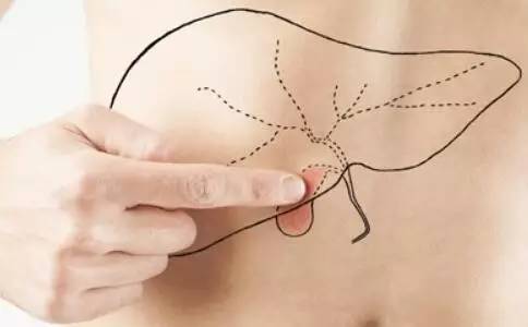 swisse护肝片好不好 肝不好最要命！护肝诀窍全在这里