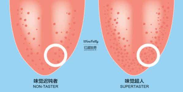 形容美食刺激味蕾的词 什么味道最能刺激味蕾?味蕾是什么?