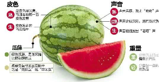 怎么识别野生兰花好坏 *知识普及*如何识别轮组的好坏