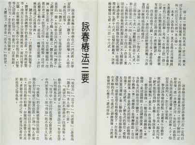 叶问木人桩法的录像 =《叶问亲传116式永春木人桩法》中文简体印刷版