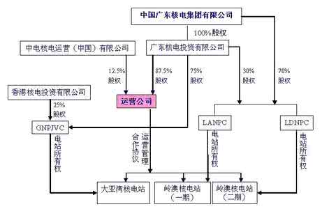 公司运营模式怎么写 公司的运营模式怎么写？