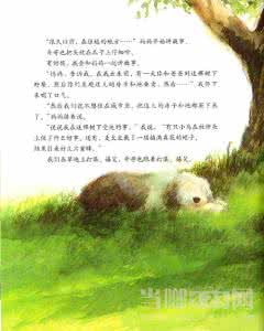 树的启示作文600字 树的启示