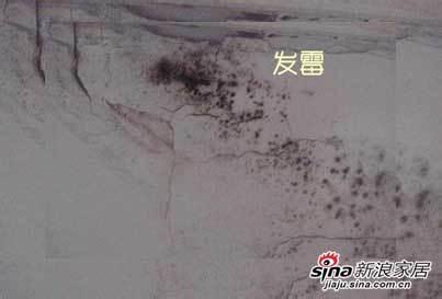 宁愿高傲的发霉 《高傲地发霉》张小娴