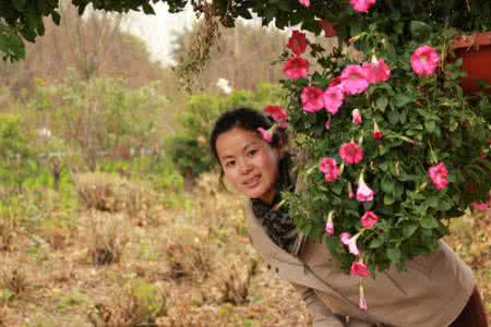 美人如花隔云端 美人如花，花如美人！