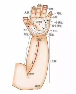 小儿阴囊湿疹 小儿阴病门