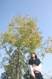 秋风落叶 美文雅句：浅秋，月色阑珊,秋风飘落叶，吹落了一地寒凉。任思念瘦了清词，任相思溢满心湖，念你，心微疼。