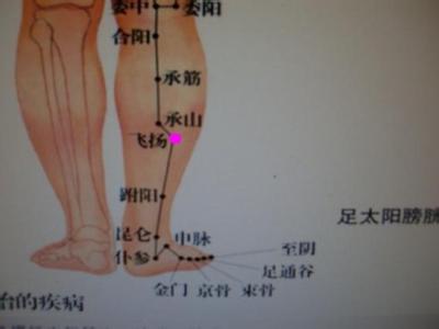 象形经络 象形经络内证观察——飞扬穴