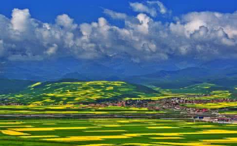 青海油菜花的观赏时间 全国最美的8个油菜花观赏地