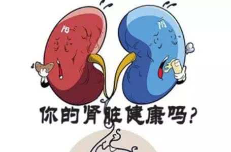卖一个肾人就废了吗 5件事废了你的肾