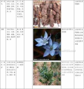 云南中药材种植 云南中草药种植 云南省主产中药材分析