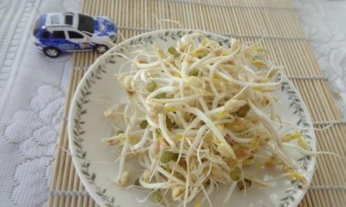 自制绿豆芽的做法大全 【图文】自制绿豆芽的做法大全,怎么做如何做好吃