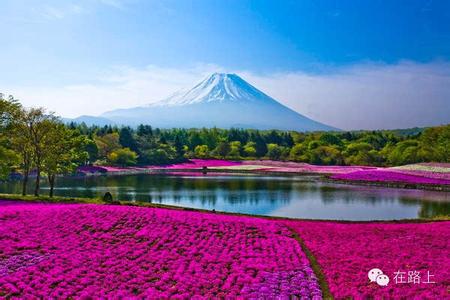 箱根看富士山最佳地点 日本最美的31个地点：富士山根本算不上美！！