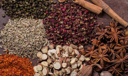 补肾补肝的中药 护肝 补肝的中药