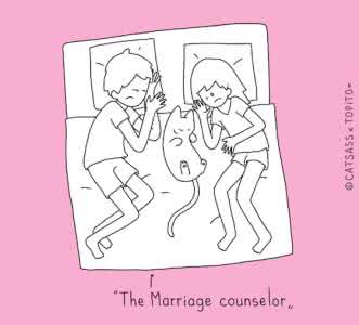 猫奴 陪睡指南?猫主子晚上临幸猫奴的10种姿势