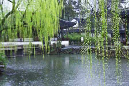 描写江南春雨的诗句 江南春雨