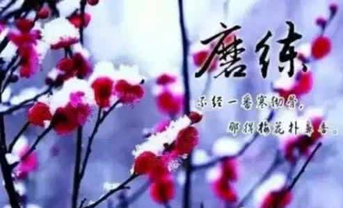 生命因磨练而美丽800 生命因磨炼而美丽