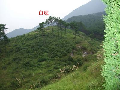 风水案例分析欣赏 周易风水案例 最细致周易风水案例分析