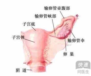 是什么原因引起妇科病 是什么原因引起妇科病 引起妇科病的原因有哪些