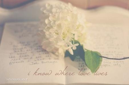 所有的遗憾都是成全 所有的遗憾都是成全 所有的遗憾，都是岁月的成全