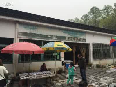 清凉山 南京清凉山收藏品市场 清凉钩衫（收藏）