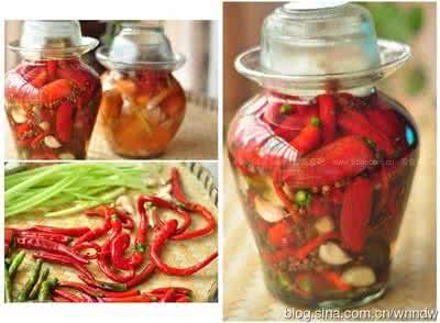 种植辣椒的经济效益 嗜吃某些食物也有益健康—辣椒、泡菜