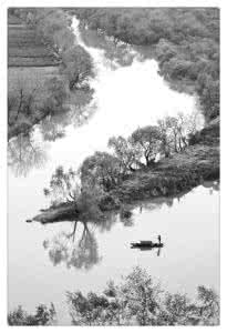 烟雨婺源画纸伞 烟雨婺源：你从画中来，带着水墨香