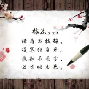 梅花魂 我害怕是因为梅花魂?