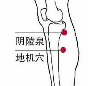 孕妇不抽筋需要补钙吗 【穴位诀窍】图荐《腿抽筋补钙不成，穴位按摩创奇迹！》