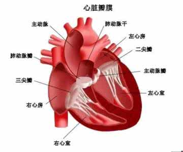 心脏病是怎么回事 7件事让你离心脏病越来越近，还不打算改吗？