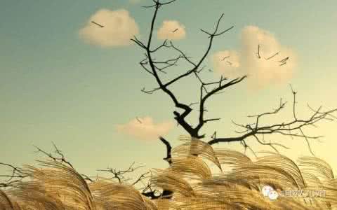 人往低处走 【人往低处走的智慧】