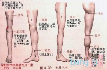 排毒养颜胶囊 【每日一穴位】排毒养颜的穴位