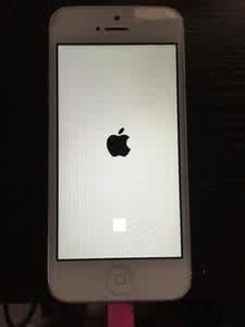 白苹果怎么办 iPhone5白苹果怎么办?